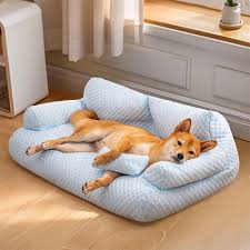 A Beginner’s Guide to Pet Supplies: Everything You Need to Get Started