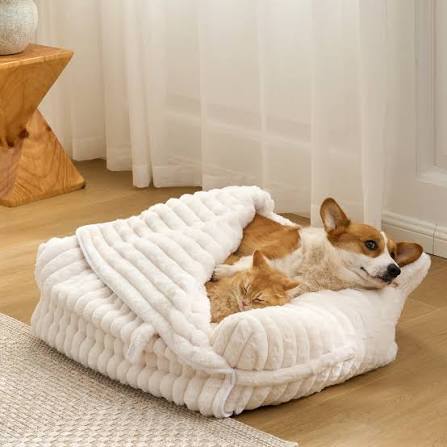 Beds & Blankets