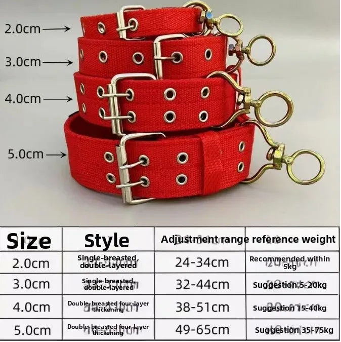 Wide Heavy Duty Dog Collar, Double-Row Stitching Padded Collar with Metal Buckle, Adjustable for Medium & Large Dogs Walking