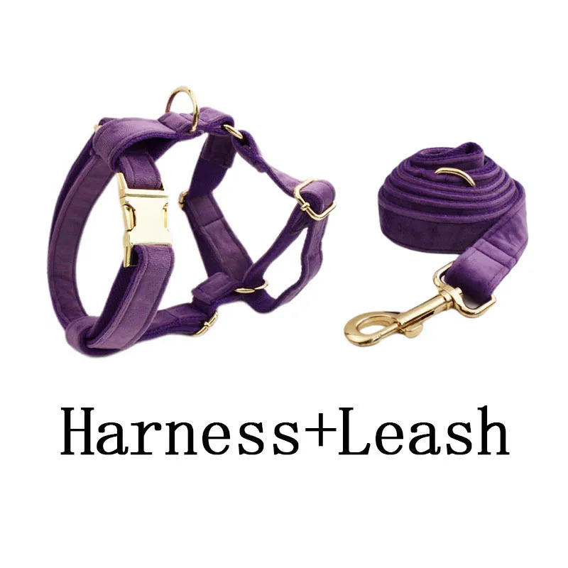 Purple Velvet Dog Collar And Leash Set For Small Medium Large Dogs Custom Engraved Nameplate Pet Supplies Dog Leash Velvet 16
