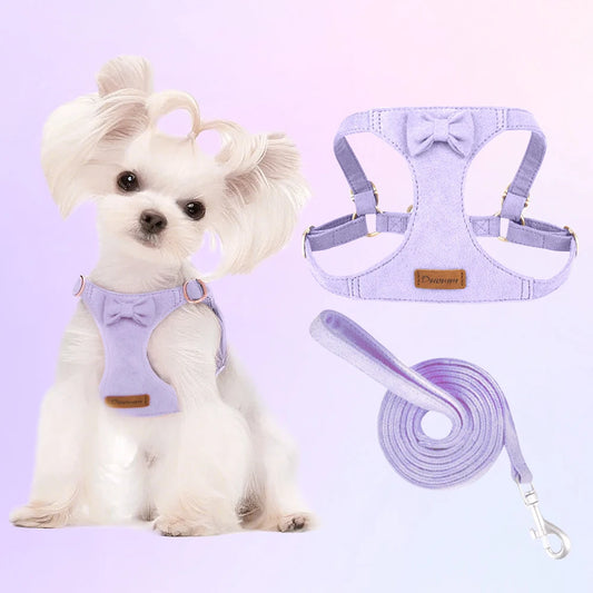 Trendy Premium Suede Dog Harness Leash Set -Small Dog Adjustable Pet Chest Strap Soft Durable Puppy Kitten Fashion Accessories