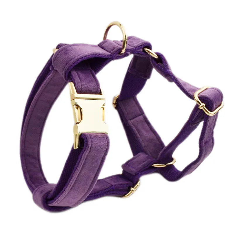 Purple Velvet Dog Collar And Leash Set For Small Medium Large Dogs Custom Engraved Nameplate Pet Supplies Dog Leash Velvet 16